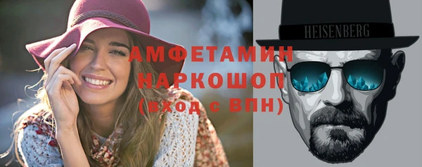 индика Горнозаводск