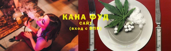 ПСИЛОЦИБИНОВЫЕ ГРИБЫ Горно-Алтайск