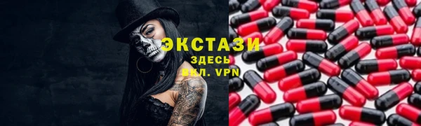 индика Горнозаводск