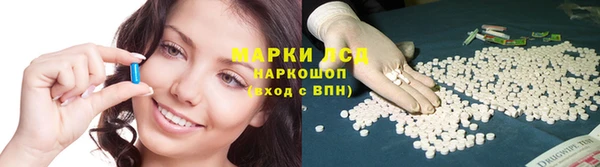 индика Горнозаводск