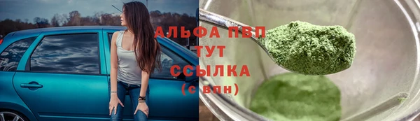 ПСИЛОЦИБИНОВЫЕ ГРИБЫ Горно-Алтайск