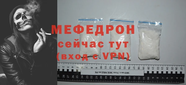индика Горнозаводск