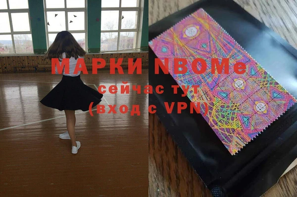 ПСИЛОЦИБИНОВЫЕ ГРИБЫ Горно-Алтайск