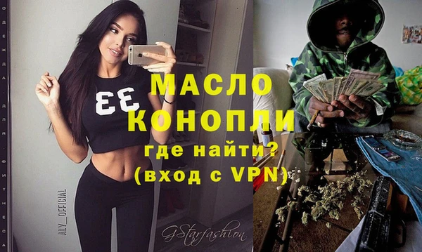 индика Горнозаводск