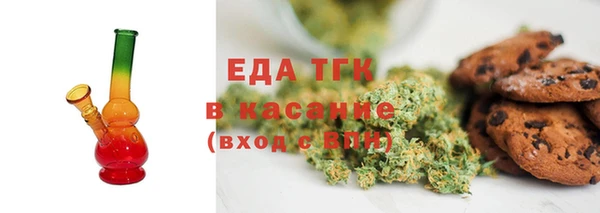 индика Горнозаводск