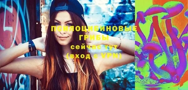 индика Горнозаводск