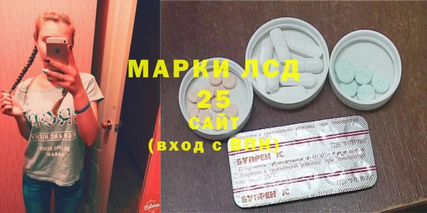 индика Горнозаводск