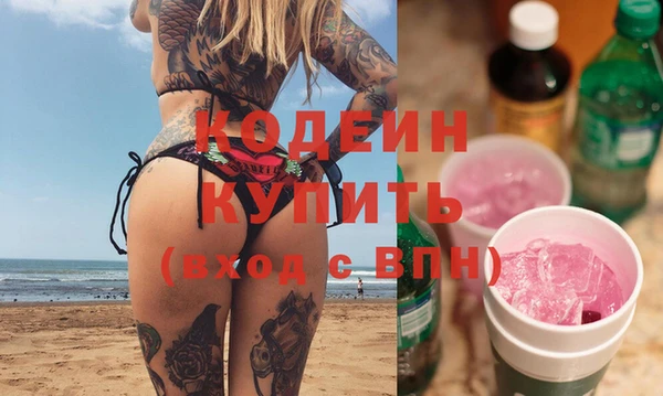 индика Горнозаводск