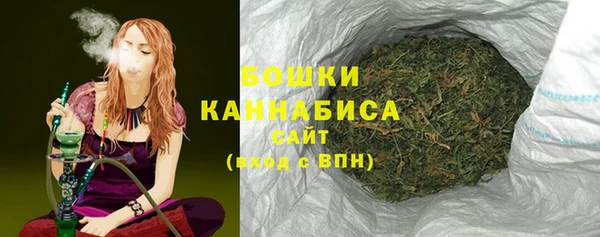 индика Горнозаводск