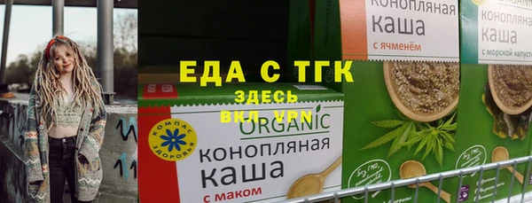индика Горнозаводск