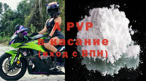 индика Горнозаводск