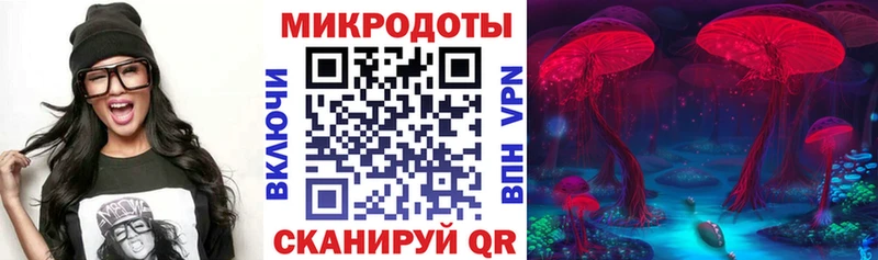 Псилоцибиновые грибы Psilocybe  Купить закладки  Острогожск 